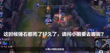 流浪者语音台词爆料视频,幕后故事与情感波动  第3张