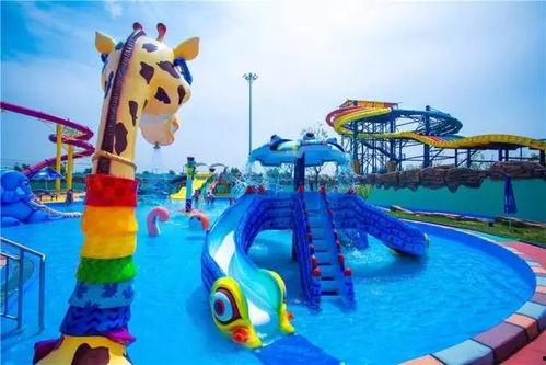 水上公园爆料视频下载免费,免费下载爆料视频背后的精彩瞬间  第1张