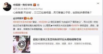 陈陈的爆料视频,惊人内幕大公开  第3张